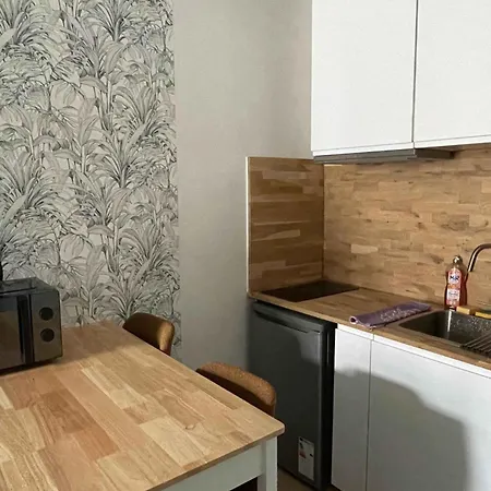 Modern Near Historic Center Apartment