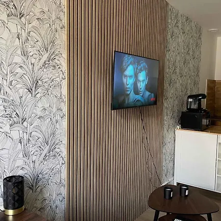 Modern Near Historic Center Apartment